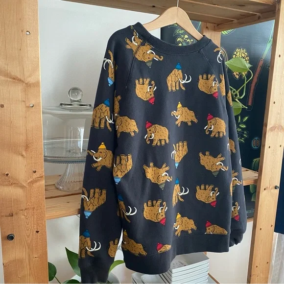 Hanna Andersson Colorful Winter Woolly Mammoth Crewneck Sweatshirt - Picture 5 of 12